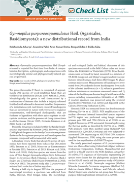 Gymnopilus Purpureosquamulosus Høil.(Agaricales, Basidiomycota): A