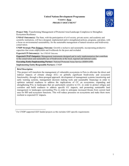 United Nations Development Programme Country: Peru PROJECT DOCUMENT1