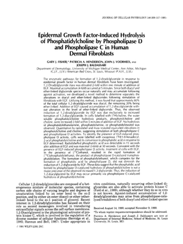 Epidermal Growth Factor-Induced Hydrolysis of Phosphatidylcholine by Phospholipase 'D and Phospholipase C in Human Dermal -Fibroblasts