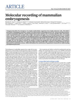 Molecular Recording of Mammalian Embryogenesis Michelle M