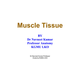 Muscle Tissue[PDF]
