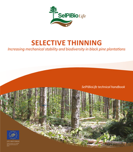 SELECTIVE THINNING Increasing Mechanical Stability and Biodiversity in Black Pine Plantations