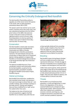 Conserving the Critically Endangered Red Handfish