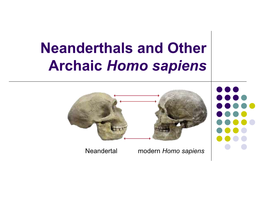 Chapter 10 Neanderthals and Archaic Homo Sapiens