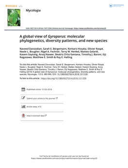 A Global View of Gyroporus: Molecular Phylogenetics, Diversity Patterns, and New Species