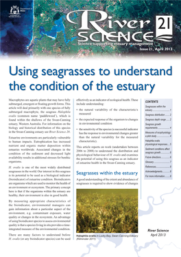 Using Seagrasses to Understand the Condition of the Estuary