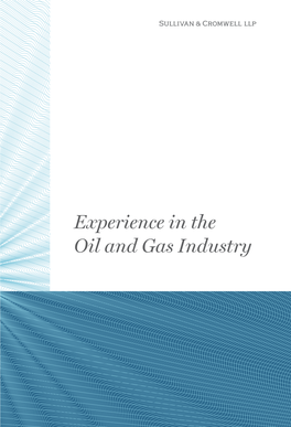 Experience in the Oil and Gas Industry “They Go to Great Lengths to Understand Your Industry, Business and Specific Objectives