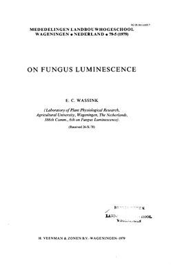 On Fungus Luminescence