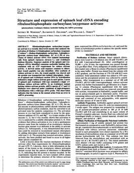 Structure and Expression of Spinach Leaf Cdna Encoding