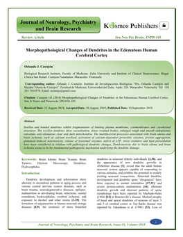 Morphopathological Changes of Dendrites in the Edematous Human Cerebral Cortex