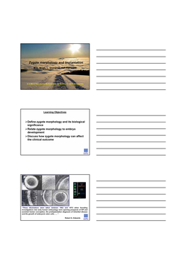 Zygote Morphology and Implantation