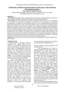 A Molecular and Microscopically Studies of Calicophoron