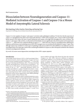 Mediated Activation of Caspase-1 and Caspase-3 in a Mouse Model of Amyotrophic Lateral Sclerosis