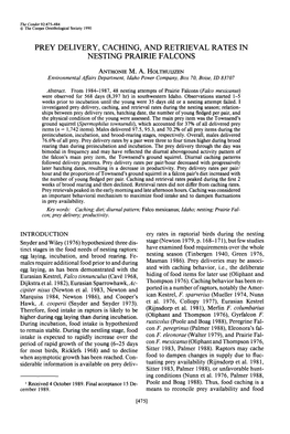 Prey Delivery, Caching, and Retrieval Raes in Nesting Prairie Falcons