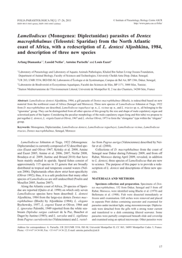 Lamellodiscus (Monogenea: Diplectanidae) Parasites of Dentex Macrophthalmus (Teleostei: Sparidae) from the North Atlantic Coast of Africa, with a Redescription of L