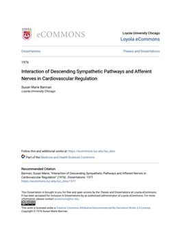 Interaction of Descending Sympathetic Pathways and Afferent Nerves in Cardiovascular Regulation