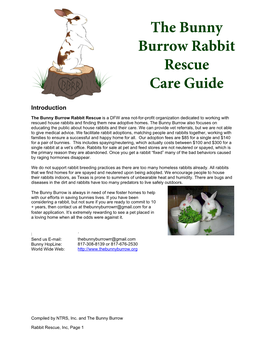 The Bunny Burrow Rabbit Rescue Care Guide