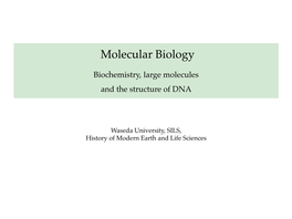 Molecular Biology Biochemistry, Large Molecules and the Structure Of