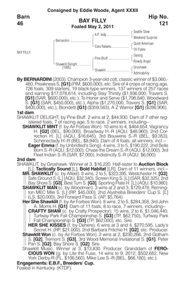 BAY FILLY Barn 46 Hip No