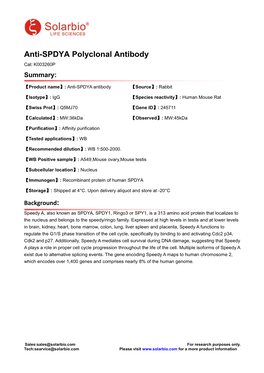 Anti-SPDYA Polyclonal Antibody Cat: K003260P Summary