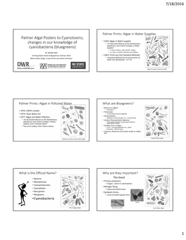 Palmer Algal Posters to Cyanotoxins