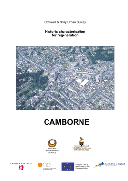 Camborne Main Report
