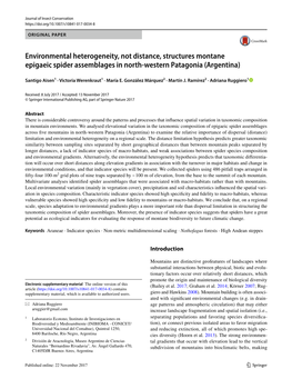 Environmental Heterogeneity, Not Distance, Structures Montane Epigaeic Spider Assemblages in North-Western Patagonia (Argentina)