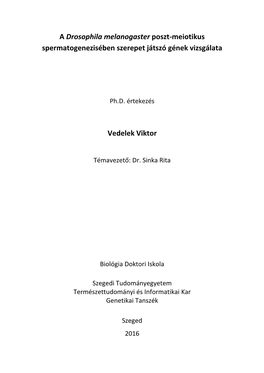 A Drosophila Melanogaster Poszt-Meiotikus Spermatogenezisében Szerepet Játszó Gének Vizsgálata