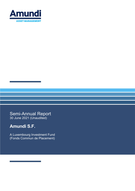 Semi-Annual Report