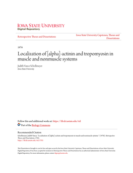 Actinin and Tropomyosin in Muscle and Nonmuscle Systems Judith Vance Schollmeyer Iowa State University