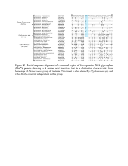 (Muty) Protein Showing a 4 Amino Acid Insertion That Is a Distinctive Characteristic from Homologs of Deinococcus Group of Bacteria