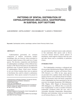 Patterns of Spatial Distribution of Cephalaspideans (Mollusca, Gastropoda) in Subtidal Soft Bottoms