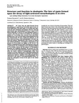 Structure and Function in Rhodopsin: the Fate of Opsin Formed Upon The