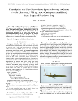 Description and New Recorder to Species Belong to Genus Acrida Linnaeus, 1758 Sp. Nov. (Orthopetra:Acridiane) from Baghdad Province, Iraq