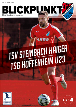 Tsv Steinbach Haiger Tsg Hoffenheim