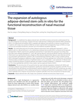 The Expansion of Autologous Adipose-Derived Stem Cells in Vitro