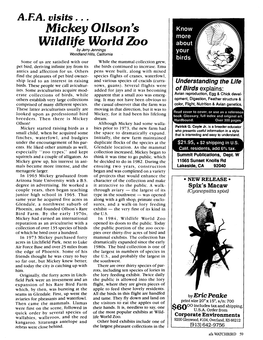 Mickey Ollson's Wildlife World