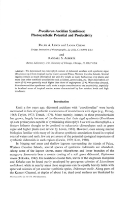 Photosynthetic Potential and Productivity