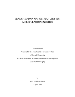 Branched Dna Nanostructures for Molecular Diagnostics