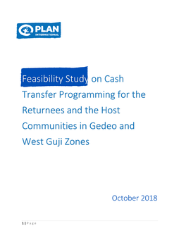 Feasibility Study on Cash Transfer Programming for the Returnees and the Host Communities in Gedeo and West Guji Zones