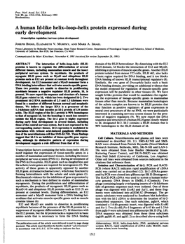 A Human Id-Like Helix-Loop-Helix Protein Expressed During Early Development (Transcription Regulation/Nervous System Development) JOSEPH BIGGS, ELIZABETH V