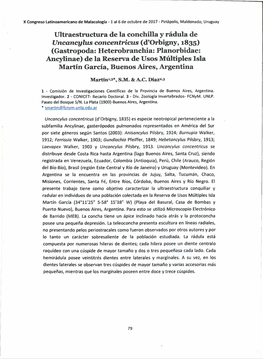 Ultraestructura De La Conchilla Y Rádula De Uncancylus Concentricus