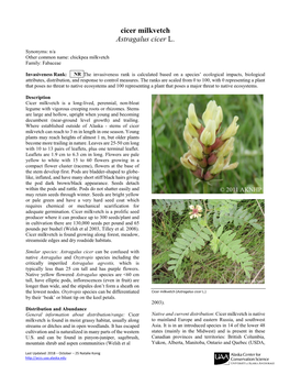 Cicer Milkvetch Astragalus Cicer L