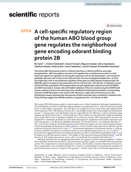 A Cell-Specific Regulatory Region of the Human ABO Blood Group Gene