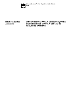Rita Sofia Santos Anastácio UM CONTRIBUTO PARA A