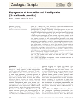 Phylogenetics of Acrocirridae and Flabelligeridae (Cirratuliformia, Annelida)