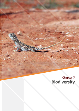 Chapter 7 Biodiversity