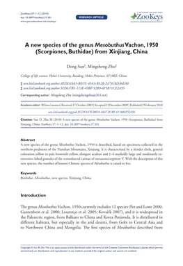 A New Species of the Genus Mesobuthus Vachon, 1950 (Scorpiones, Buthidae) from Xinjiang, China