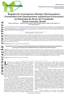 Registro De Acromyrmex Disciger Mayr, 1887 (Hymenoptera