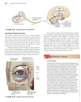 The Skull Protects the Eye the Eye Itself Is a Hollow Sphere Divided Into Two Compart­ Ments (Chambers) Separated by a Lens (Fig